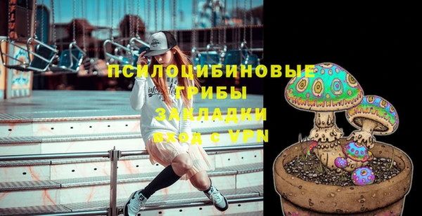 крисы Переславль-Залесский